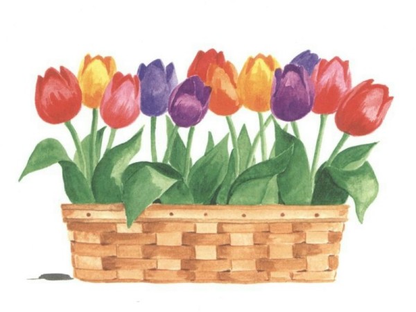 TULIP BASKET