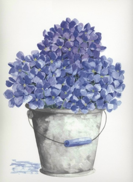 BUCKET OF HYDRANGEAS