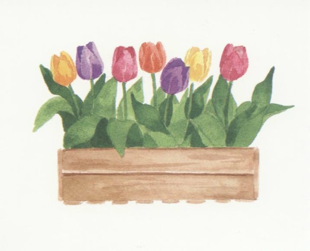 BOX OF TULIPS