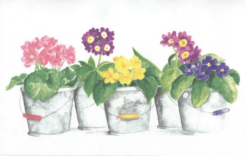 PRIMROSE PAILS