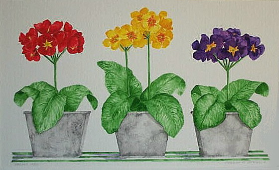 Watercolor 'SPRING TRIO'