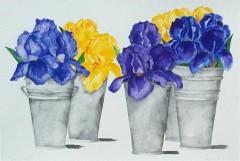 Watercolor 'IRIS BUNCHES'